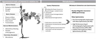 Applicability of metabolomics to improve sustainable grapevine production